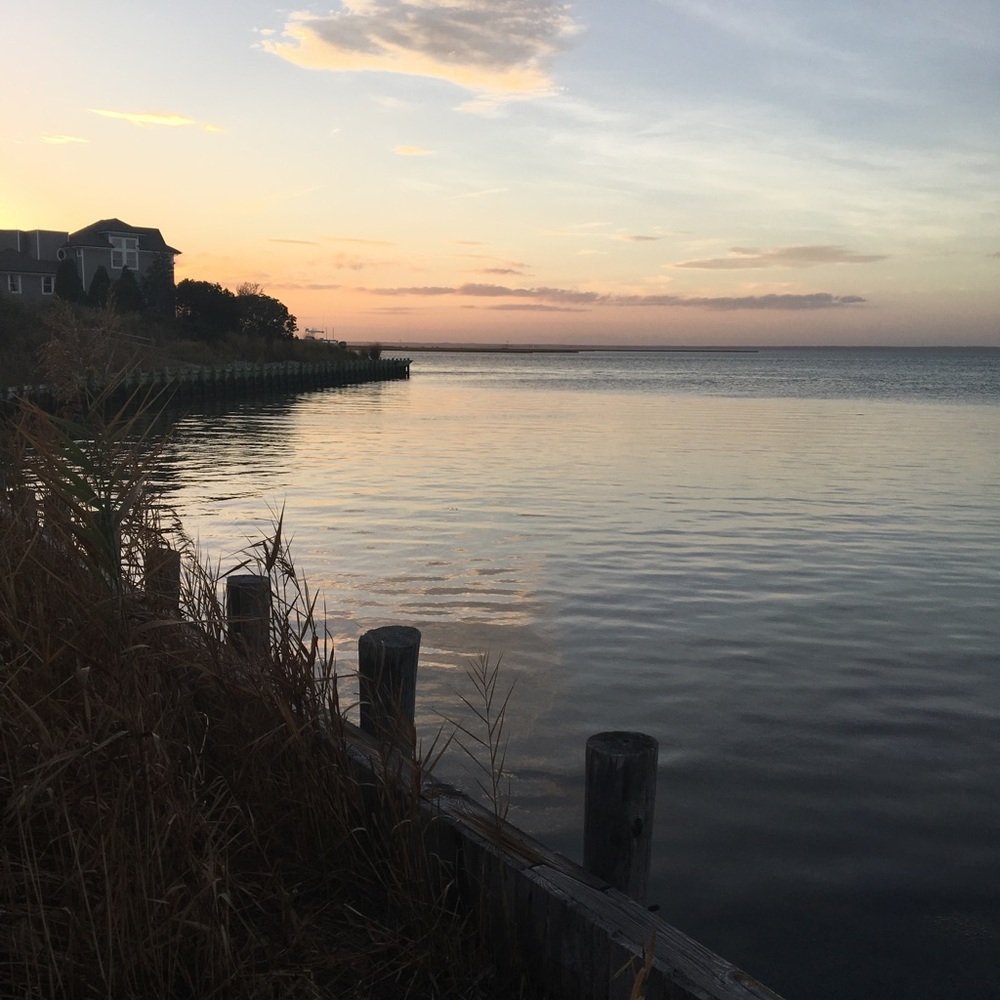 Meet your Posher, Lynn